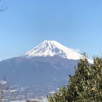  富士山の画像 by 渉さんさん |  富士山