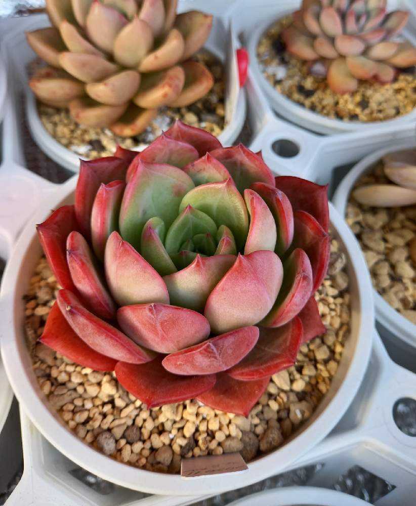 1643847408448_thum_340237_2022