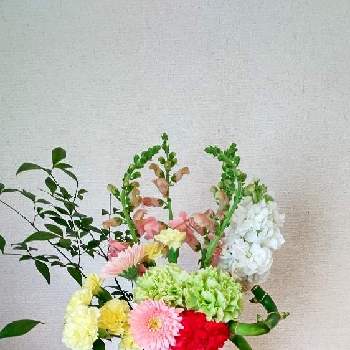 花器が好きの画像 by Jun.cyさん | 部屋とカーネーション♡と２月と花器が好きと ミリオンバンブーと金魚草☆と南天の葉と ストック