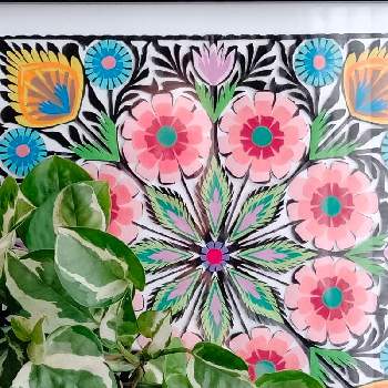花の絵の投稿画像一覧 Greensnap グリーンスナップ