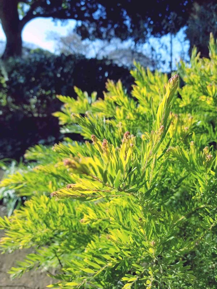 エリィさんの港の見える丘公園への投稿