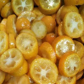 食べるの画像 by けいさん | キッチンと金柑といい香りと食べる
