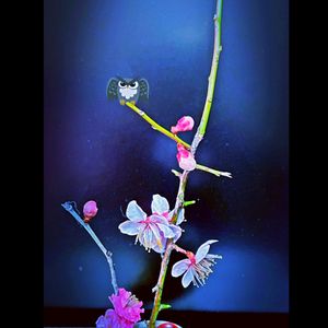 紅梅,白梅,守護鳥:福郎君,白梅　和堂,紅梅　和堂の画像