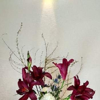 百合♡の画像 by Jun.cyさん | 部屋とエリンジウム✳︎とカーネーション♡と開花と２月と枝ものと百合♡