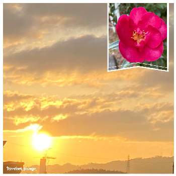 朝焼けの空の投稿画像一覧 Greensnap グリーンスナップ