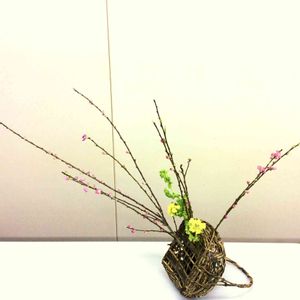 生け花の投稿画像一覧｜🍀GreenSnap（グリーンスナップ） 