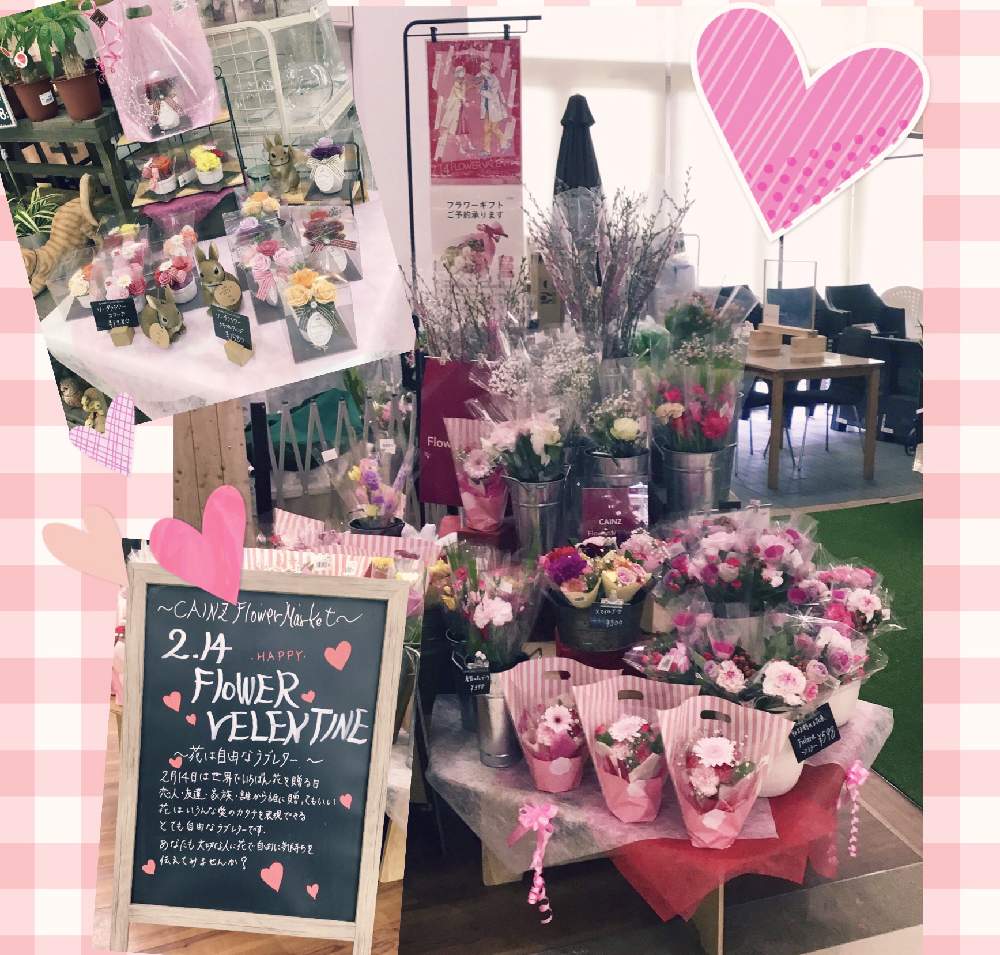 インテリアの投稿画像 By カインズさん 啓翁桜 とフラワーバレンタイン とカインズとカインズ本庄早稲田店と花のある暮らしとcainz とフラワーバレンタインと啓翁桜 とフラワーバレンタイン とカインズとカインズ本庄早稲田店と花のある暮らしとcainzとフラワー