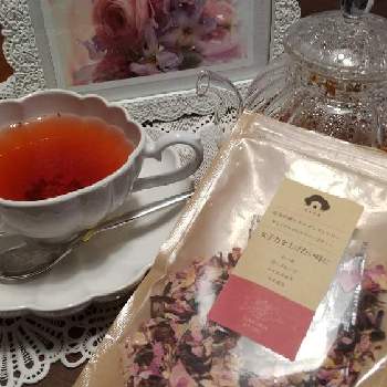 身体と美容に最適オリーブ茶の作り方 Greensnap グリーンスナップ