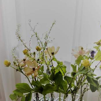 花器の画像 by hiLa-ya hilaryさん | 部屋と豆の花とユキヤナギとラナンキュラスラックス　ウラノスと投げ入れと自己流アレンジと花器と枝ものと自分で仕入れとダルトン リンクチューブベースと花のある暮らしとポップアップストアと切り花とインテリアグリーン