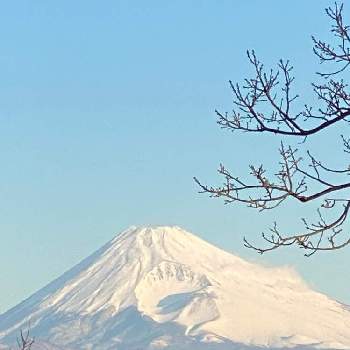 里山の風景♪の画像 by 木猫さん | 富士山大好きクラブと空と富士山と自然はARTだ！といつかの空と命あっての物種♪と里山の風景♪と空が好き♪と美‼️と医療現場の人々に感謝と山荘便りと2022年2月♪と99%の幸せと花のある暮らしと元気印♪とGREEN UP!