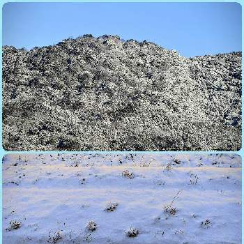 冬模様の画像 by ムラタヌキさん | 部屋と山里と雪景色と冬模様と風景と山口県と綺麗✨