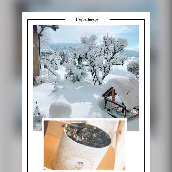 雪化粧の画像 by さちはな(*´∇｀*)さん | 小さな庭と多肉植物と癒しの時間と雪景色と雪化粧とハートカズラ＊