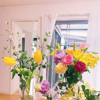 フラワーベース♡の画像 by sachicoco1001さん | 部屋とありがとう♡とフラワーベース♡と花瓶と チューリップとユーカリ♡と町のお花屋さんとお花のある生活とお花好きとお花好きの人と繋がりたいと切り花と朝活