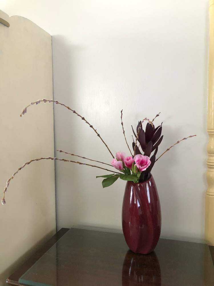 花瓶 たち吉花瓶 投げ入れ花 花のある暮らし 5月 - 京都 和食器の通販 たち吉オンラインショップ_