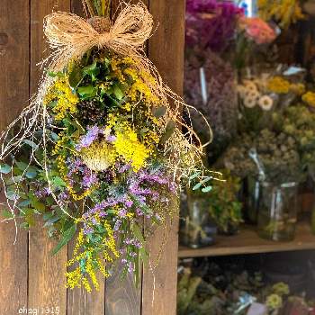 花や蔦ひつじの投稿画像一覧 Greensnap グリーンスナップ