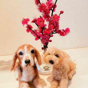 紅梅,うめ,かわいい,手作り,感謝の画像