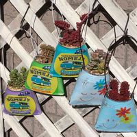 星の王子,玉葉,レッドベリー,南十字星,粉雪の画像