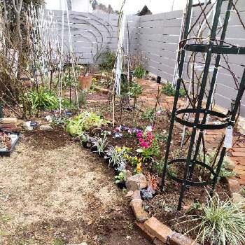 庭作業の画像 by puttinさん | 小さな庭とつるバラのある庭と手作りの庭とガーデニングと花のある暮らしとバラの地植えとロザリアンと庭作業