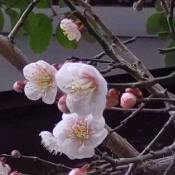 Oe9u7i55ktntam Oe9u7i55ktntam