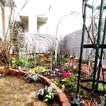 庭作業の画像 by puttinさん | 小さな庭とつるバラのある庭と手作りの庭と成長記録とガーデニングとバラが好きと花のある暮らしとバラの地植えとロザリアンと管理作業と庭作業