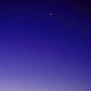  金星の画像 by biancoさん |  金星と空をみあげて