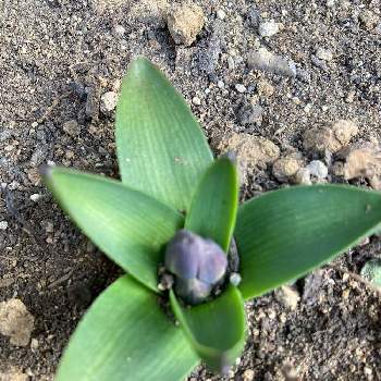 Vesbkstsohtwxm Vesbkstsohtwxm