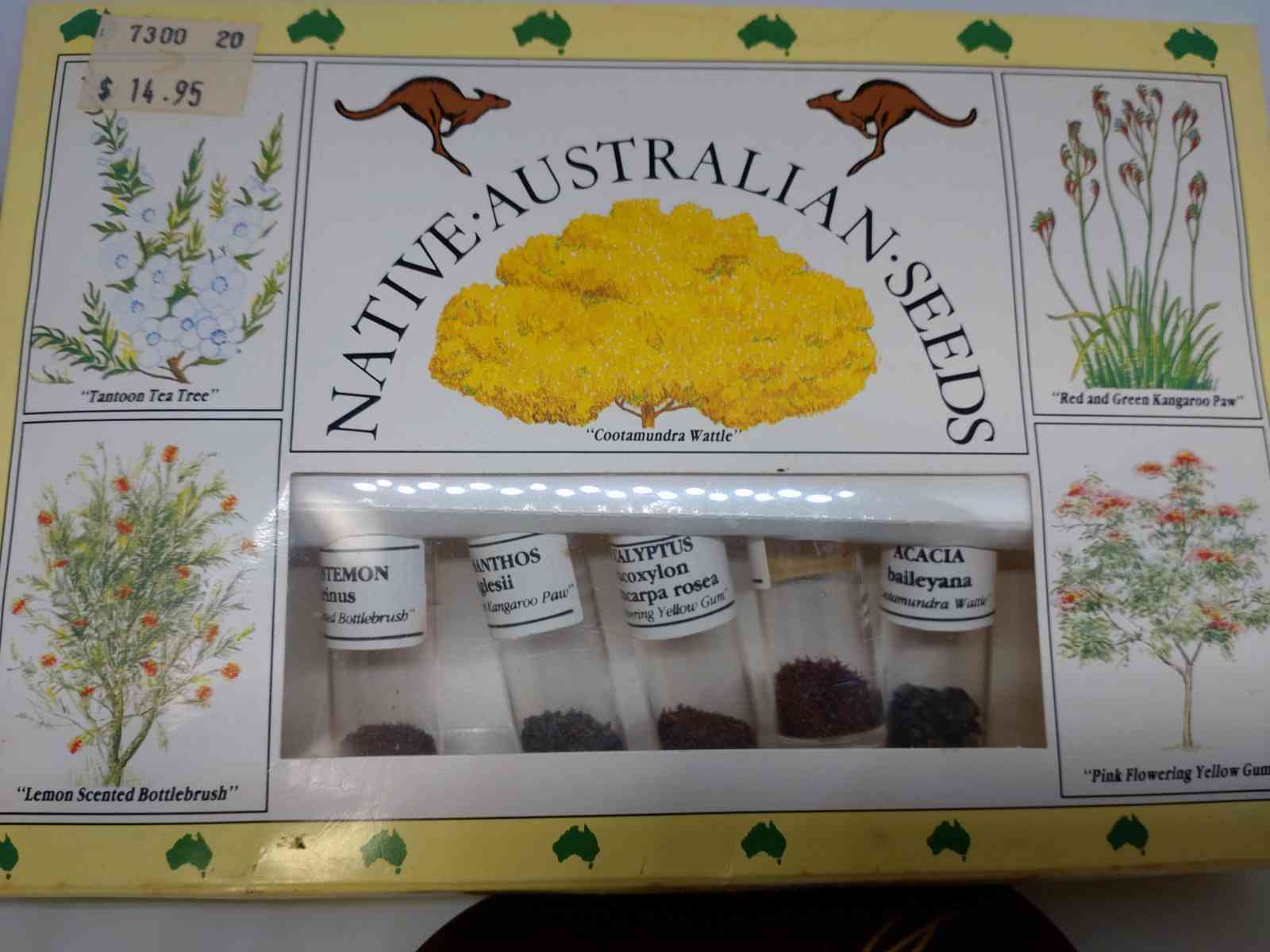 日本画「春待つ」 守みどり 4号F