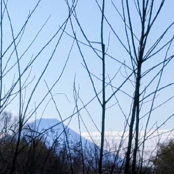 山々✽の画像 by 秋草さん | 木々と水曜日は水色と木々✽と空✽と山々✽