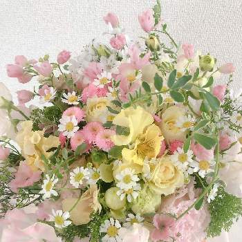 ユウギリソウの投稿画像一覧 Greensnap グリーンスナップ