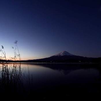 河口湖の画像 by biancoさん | 朝焼けと夜明けと河口湖と富士山の日