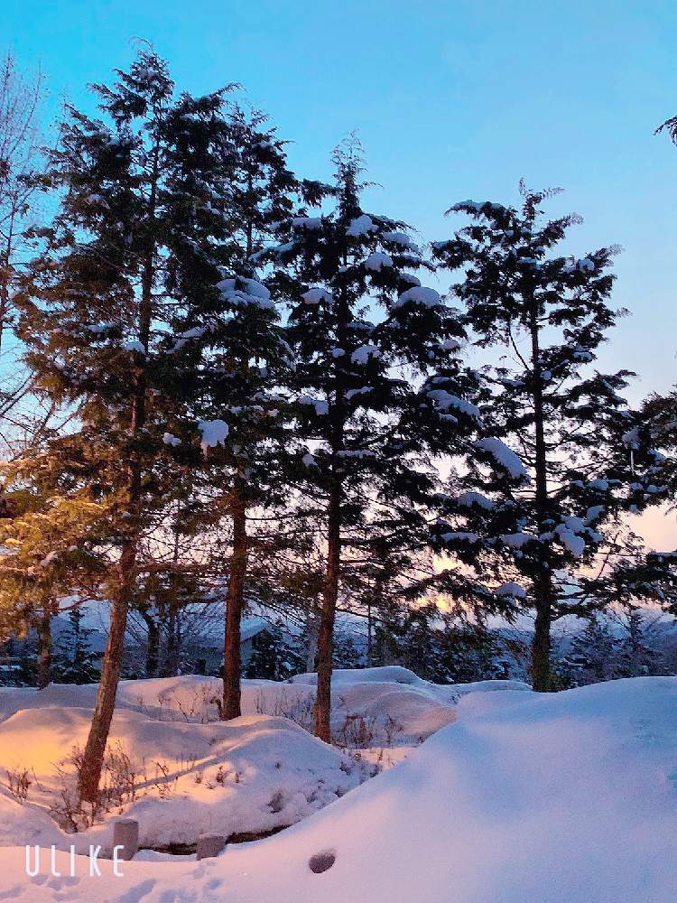 夕方の雪景色の風景の投稿画像 By Tanoさん チーム岐阜と美しいとｇｓの皆様に感謝と上を向いて歩こうとお出掛け先と水曜日は水色と寒いですと綺麗だなぁと優しい気持ちと冬の風物詩と雲仲間とチーム岐阜と美しいとｇｓの皆様に感謝と上を向いて歩こうとお出掛け先と