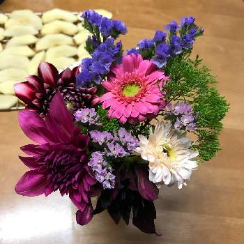 ユウギリソウの投稿画像一覧 Greensnap グリーンスナップ