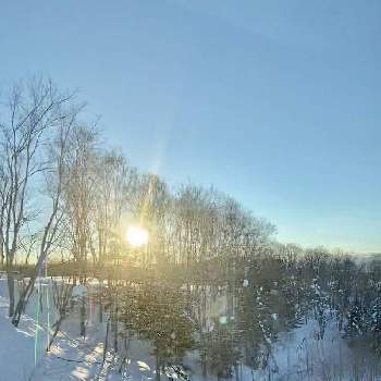 冬景色の画像 by Kay_Tama-gsk さん | お出かけ先と北海道と雪景色と冬景色と北の国から