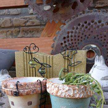 手作りピックの投稿画像一覧 Greensnap グリーンスナップ 手作りピックの投稿画像一覧 Greensnap グリーンスナップ