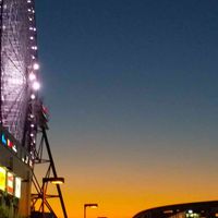 ケヤキ,24日は夕焼けの日の画像