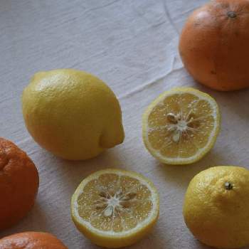 柑橘類の画像 by yukih1027さん | キッチンと柑橘類 はるかと柑橘類