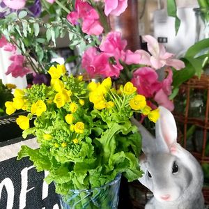 菜の花,スィートピー,かわいい,きれい,黄色い花の画像