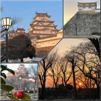 ツバキ,椿 （つばき）,城郭・天守閣,世界遺産・姫路城,住めば都・姫路の画像