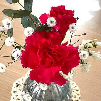 魔法の花瓶の投稿画像一覧 Greensnap グリーンスナップ