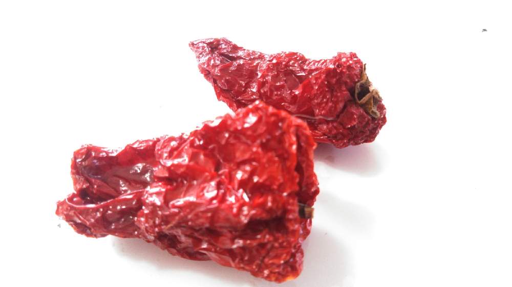 道の駅販売のピーマンの種を蒔いてみた 3月16日 水 追記 Greensnap グリーンスナップ 道の駅販売のピーマンの種を蒔いてみた 3月16日 水 追記 Greensnap グリーンスナップ