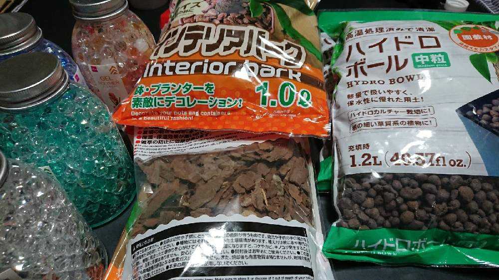 低コストでちっちゃなドライガーデン Greensnap グリーンスナップ