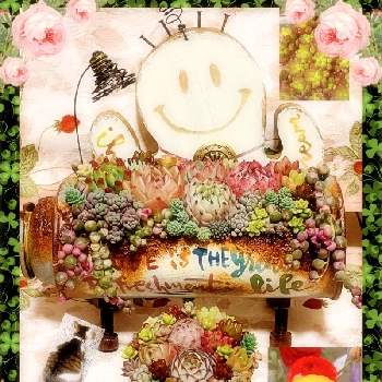 maikuraの画像 by かおりんさん |  虹の玉と医療・介護の皆様に感謝とikuraさん寄せ植えとikuraﾁｬﾝサボードと癒しとねこちゃん♡とコロナに負けるな！とバラと夢CLUBとコロナおしりペンペン( ･᷄ὢ･᷅ )とつぶつぶの日と医療現場の人々に感謝と❇︎ラナンキュラスと明日はきっと良い日になるとｵｹﾂの日ともうすぐ春とかおりんワールドとmaikura