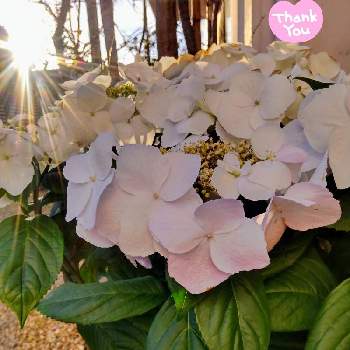 Justcna Lrtjrm Justcna Lrtjrm