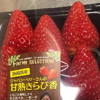 おったまげ の投稿画像一覧 Greensnap グリーンスナップ