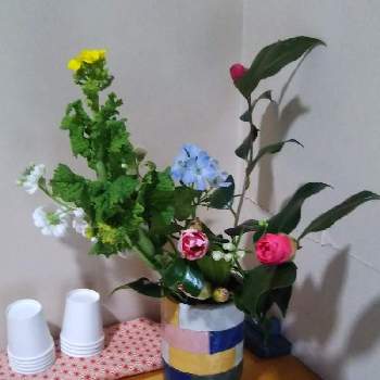 活け花の投稿画像一覧 Greensnap グリーンスナップ