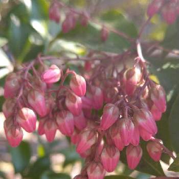 L7oskwslkm Yum L7oskwslkm Yum