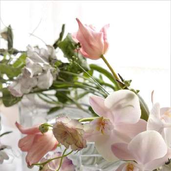 花器の画像 by hiLa-ya hilaryさん | 部屋とディアボロclearMと投げ入れと花器とディアボロ☆と切り花とインテリアグリーンとクリスチャントルチュとディアボロclearS