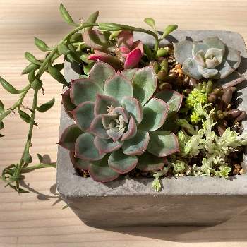 7cykmii4f K Tm 7cykmii4f K Tm