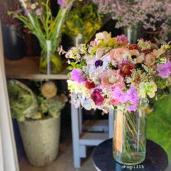 花や蔦ひつじの投稿画像一覧 Greensnap グリーンスナップ