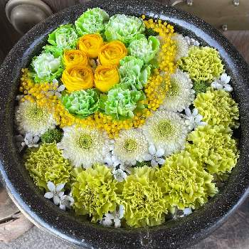 川越市最明寺の投稿画像一覧 Greensnap グリーンスナップ